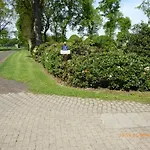Schmidtfewo Moorgeist *