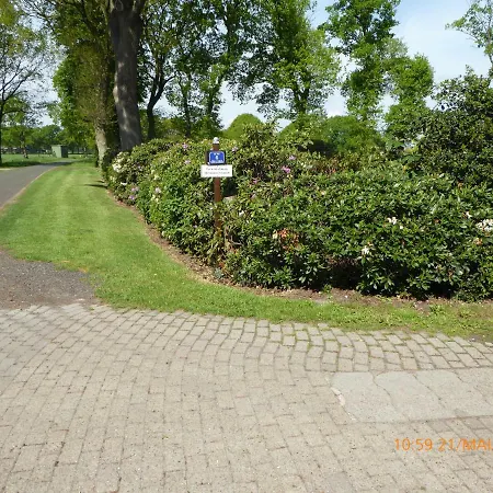 Schmidtfewo Moorgeist *